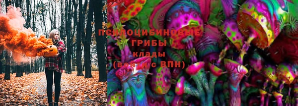 дмт Зеленодольск