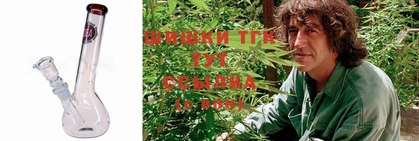 дмт Зеленодольск