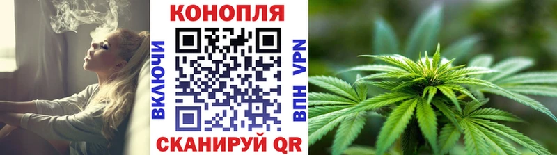 OMG   Зерноград  Шишки марихуана семена 